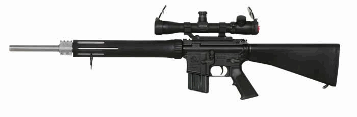 ARMALITE AR15 TARGET